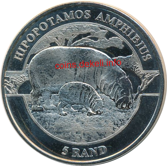 Hipopotamos amphibius