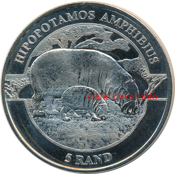 Hipopotamos amphibius