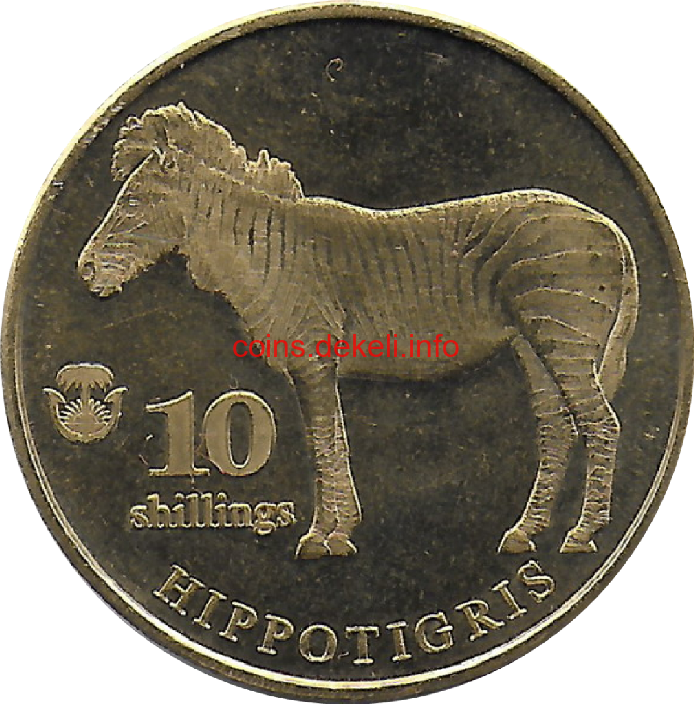 Hippotigris