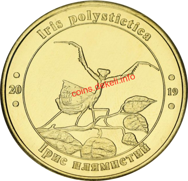 Ірис плямистий