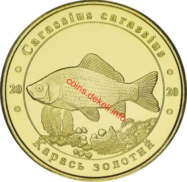 Карась золотий