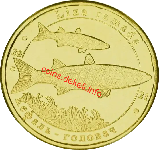 Кефаль-головач