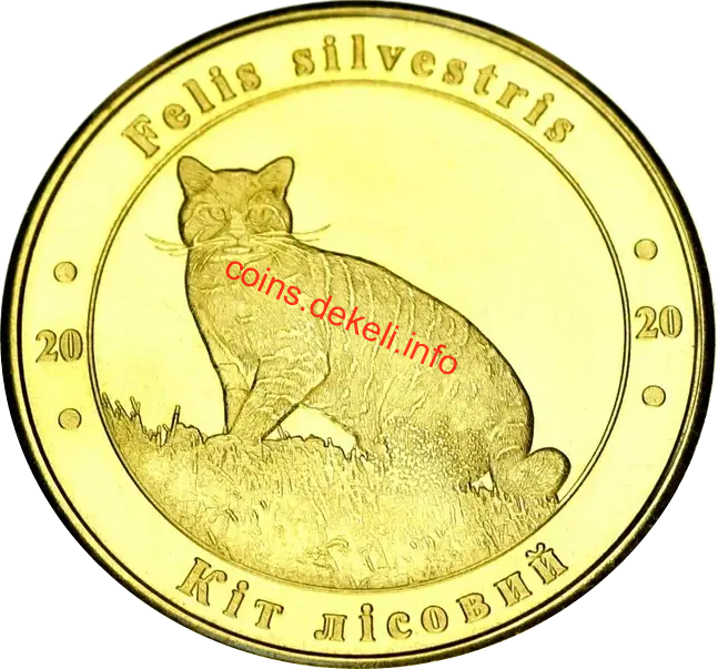 Кіт лісовий