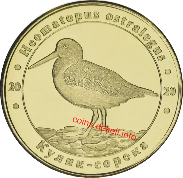 Кулик-сорока