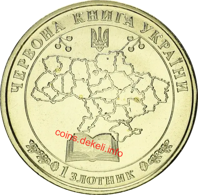 Кулик-сорока