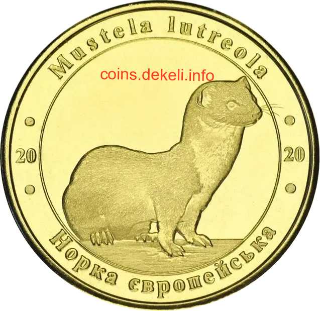 Норка європейська