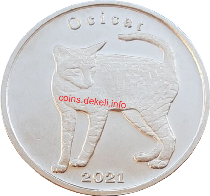 Ocicat