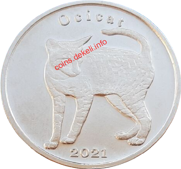 Ocicat