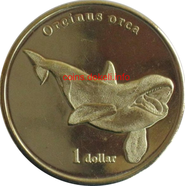 Orcinus orca