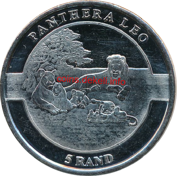 Panthera leo
