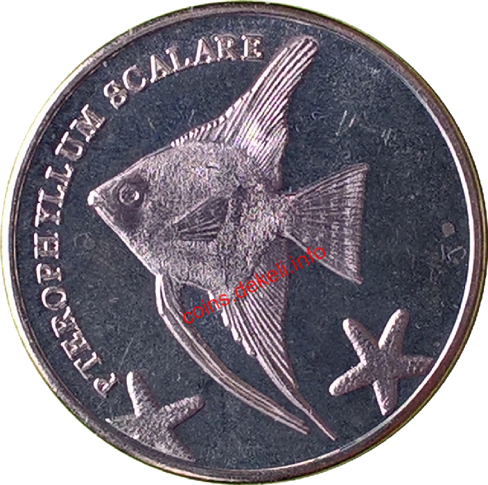 Pterophyllum scalare