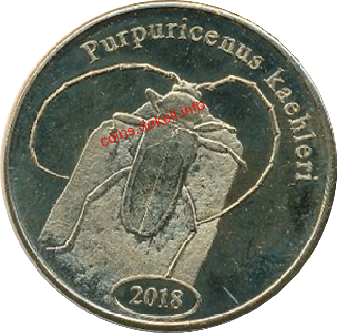 Purpuricenus kaehleri