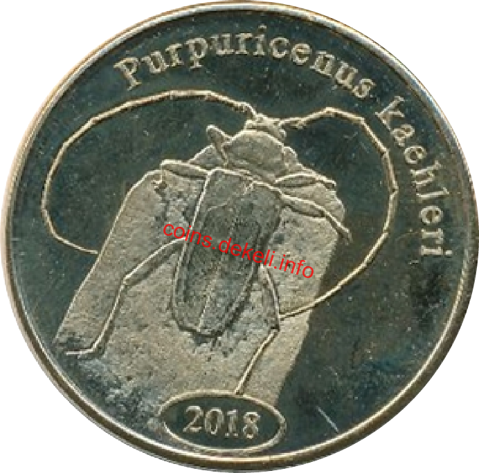 Purpuricenus kaehleri