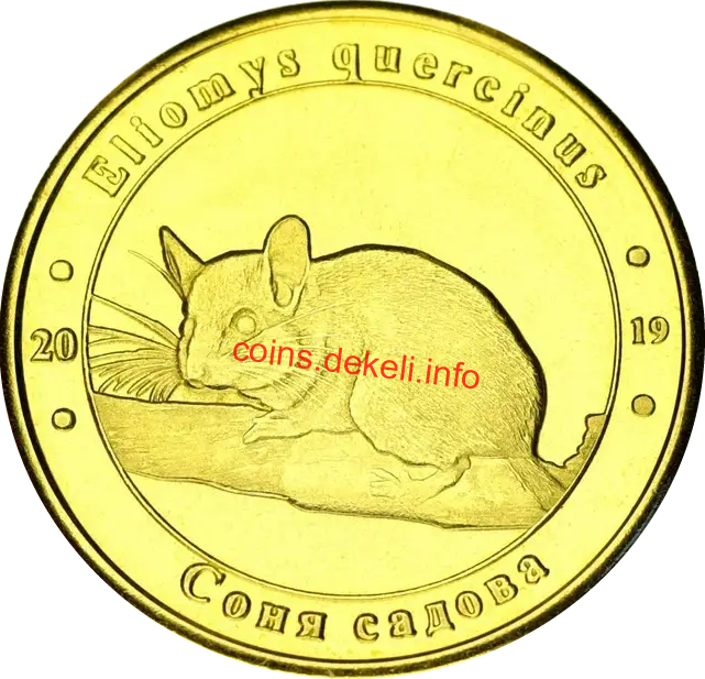 Садова соня