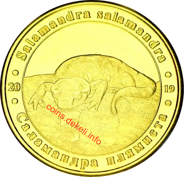 Саламандра плямиста