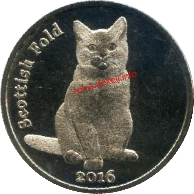 Scottish Fold