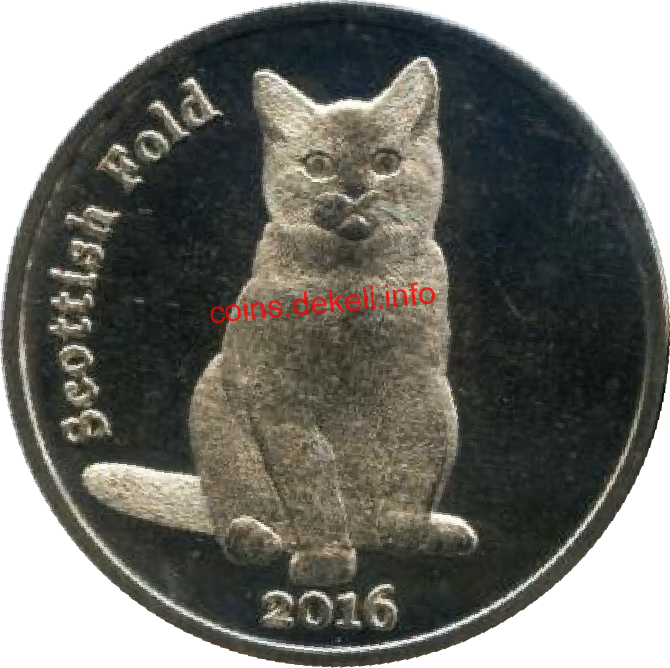 Scottish Fold