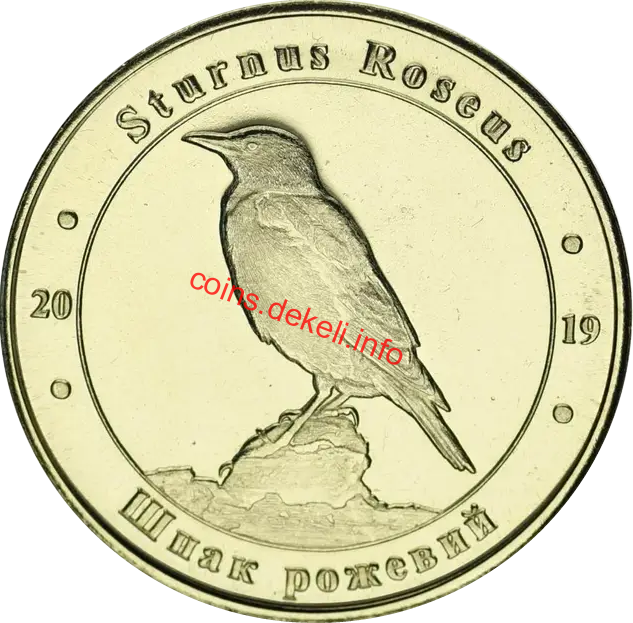 Шпак рожевий