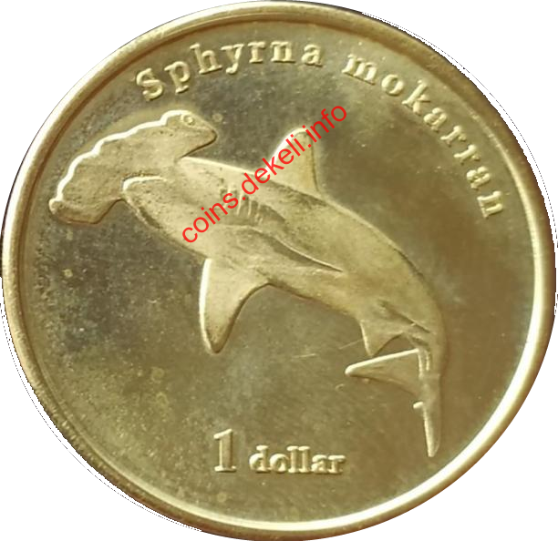 Sphyrna mokattan