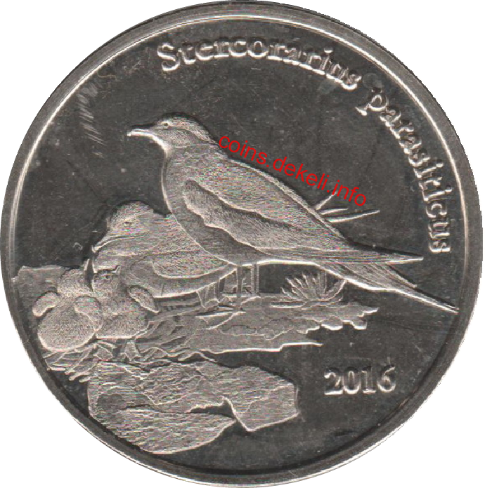 Stercorarius parasiticus