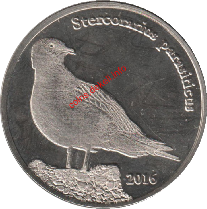 Stercorarius parasiticus