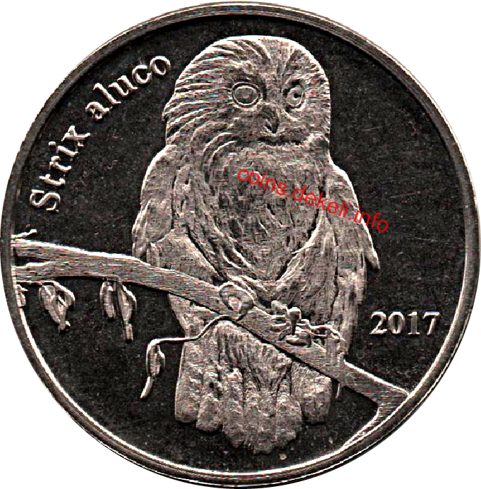 Strix aluco