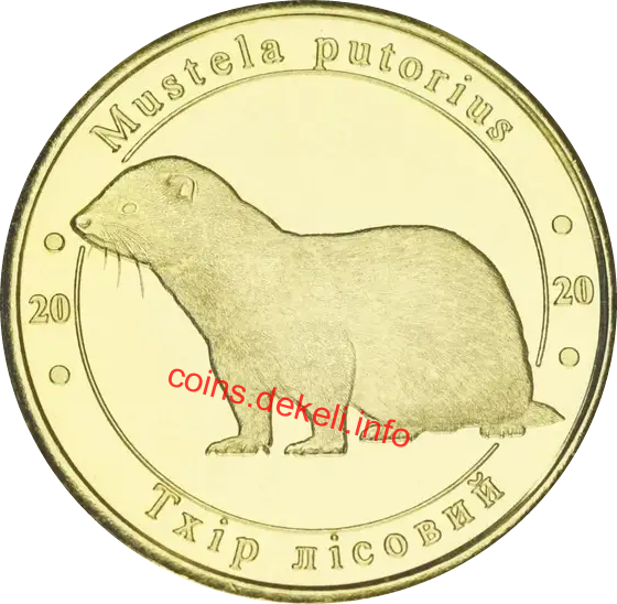 Тхір лісовий