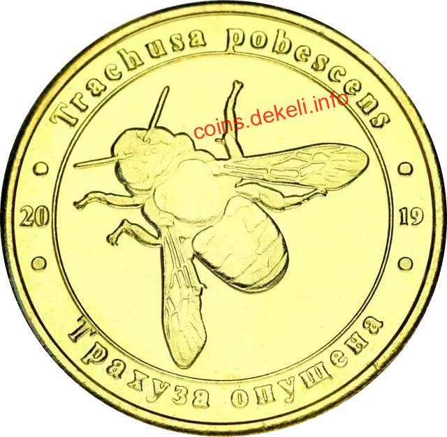 Трахуза опушена