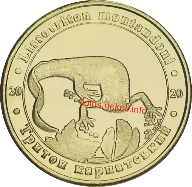 Тритон карпатський