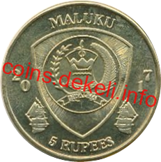 Zebrasoma pazifischer