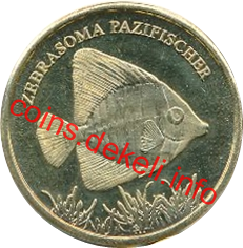 Zebrasoma pazifischer