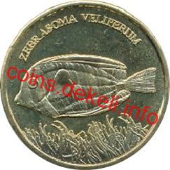 Zebrasoma veliferum