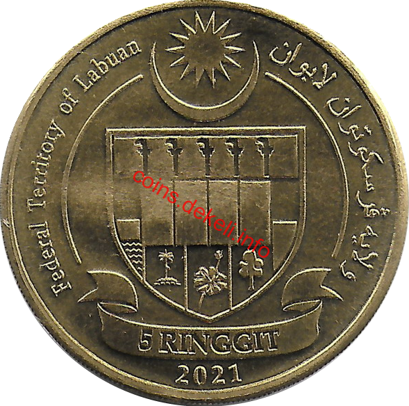 Cirrhilabrus briangrenei