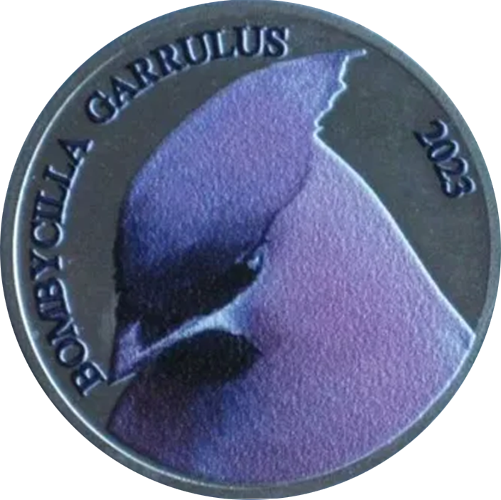 Bombycilla carrulus