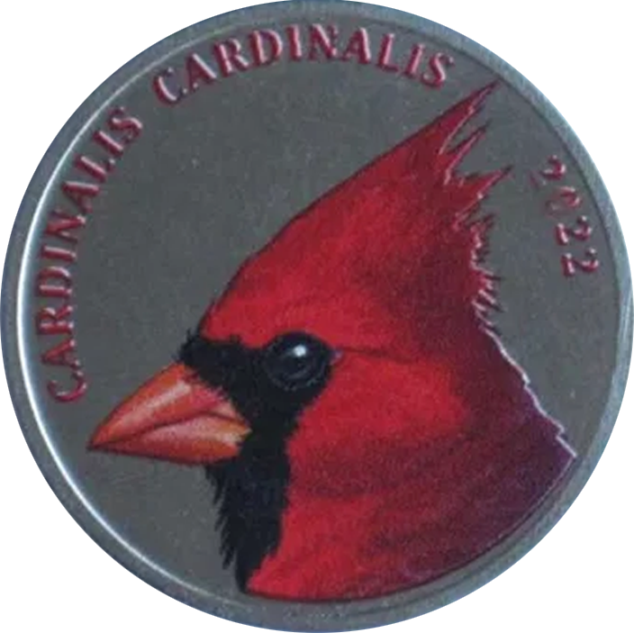 Cardinalis Cardinalis